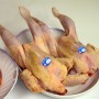 gallina semi pesada