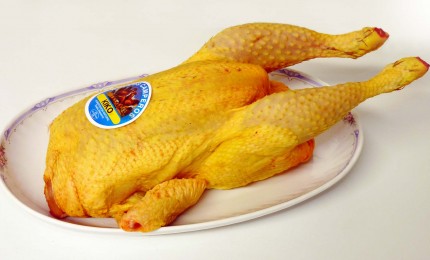 pollo campero